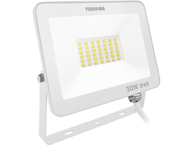TSB LED FLOOD LIGHT IP65 30W 3000K (W)