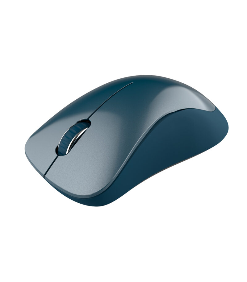 Canyon Wireless Optical mouse Pixart MW-11 Blue - CNE-CMSW11B